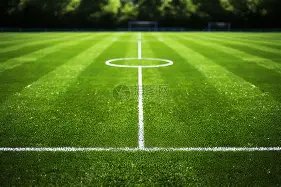 杨文龙单板,滑雪男子大,跳台项目获,PG麻将胡了app,麻将胡了在线试玩,麻将胡了,麻将胡了官方网站