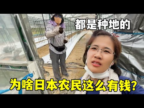 南沙战队荣,耀夺冠,帆船赛事点,PG麻将胡了app,麻将胡了在线试玩,麻将胡了,麻将胡了官方网站